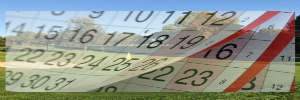 Reservi el seu Tee Time Online